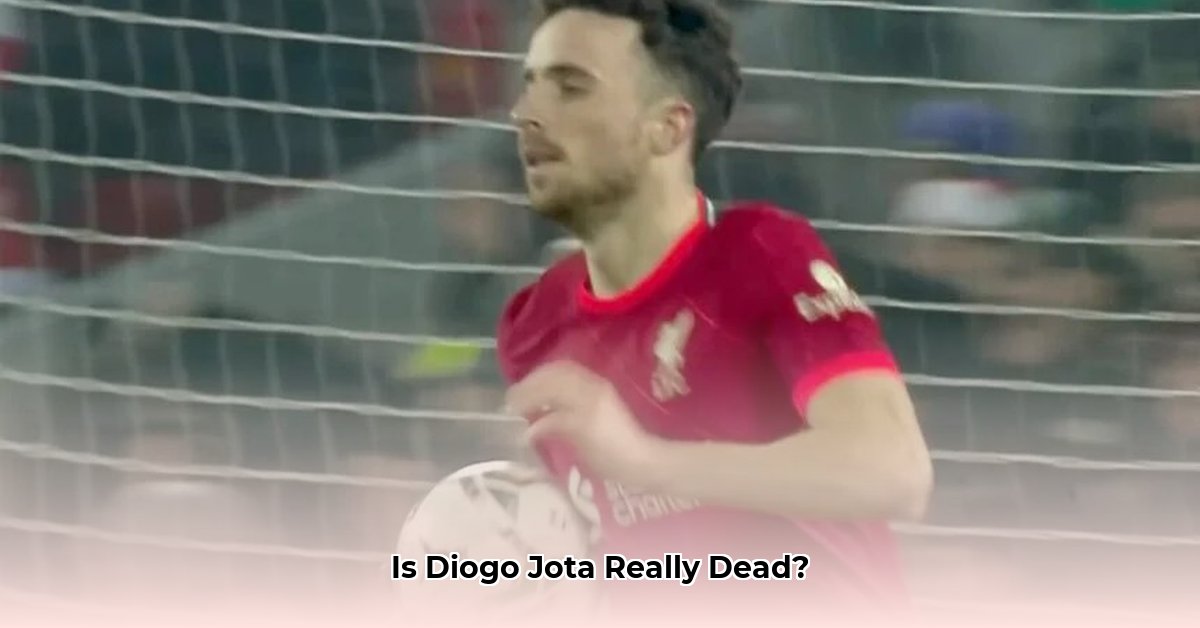 is-diogo-jota-dood